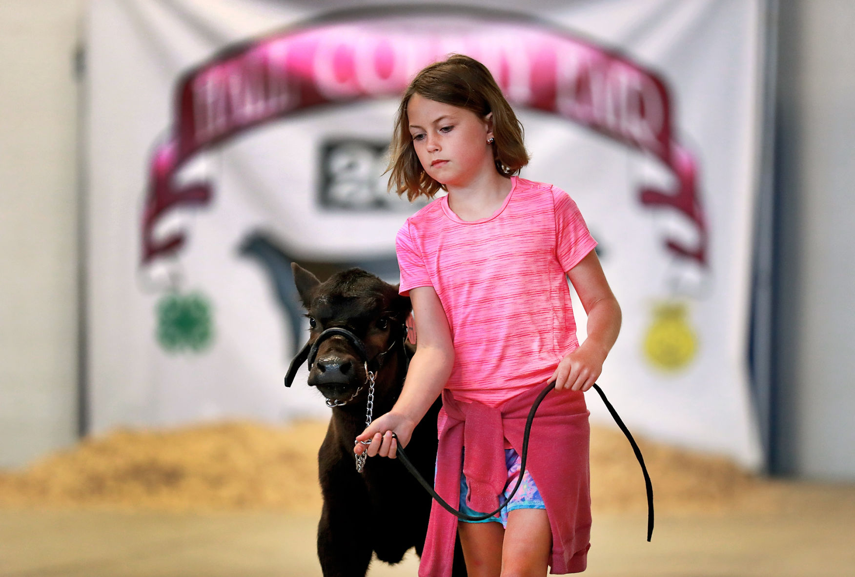 071219_HallCoFair06_bjs.JPG